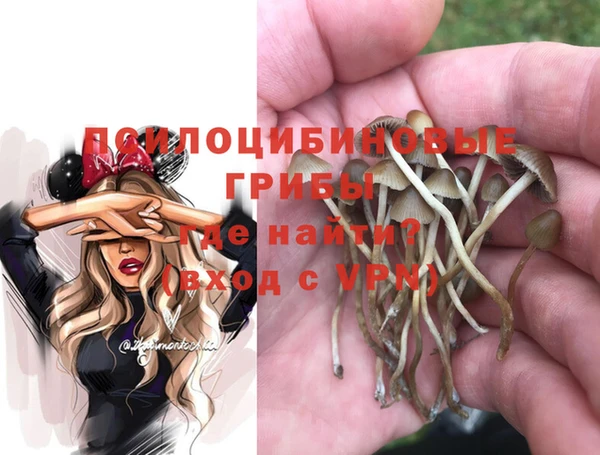 spice Майский