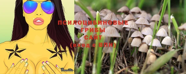 хмурый Фёдоровский