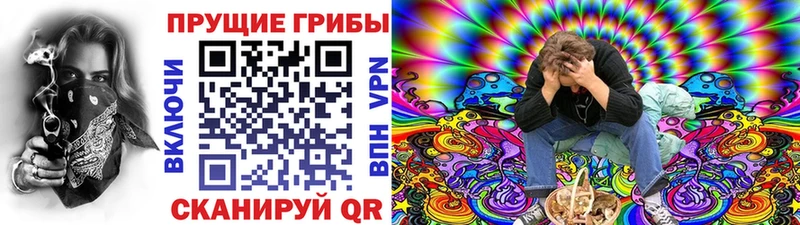 Галлюциногенные грибы мицелий купить наркотик Сенгилей